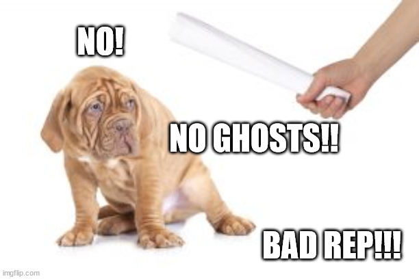 Bad dog | NO! NO GHOSTS!! BAD REP!!! | image tagged in bad dog | made w/ Imgflip meme maker