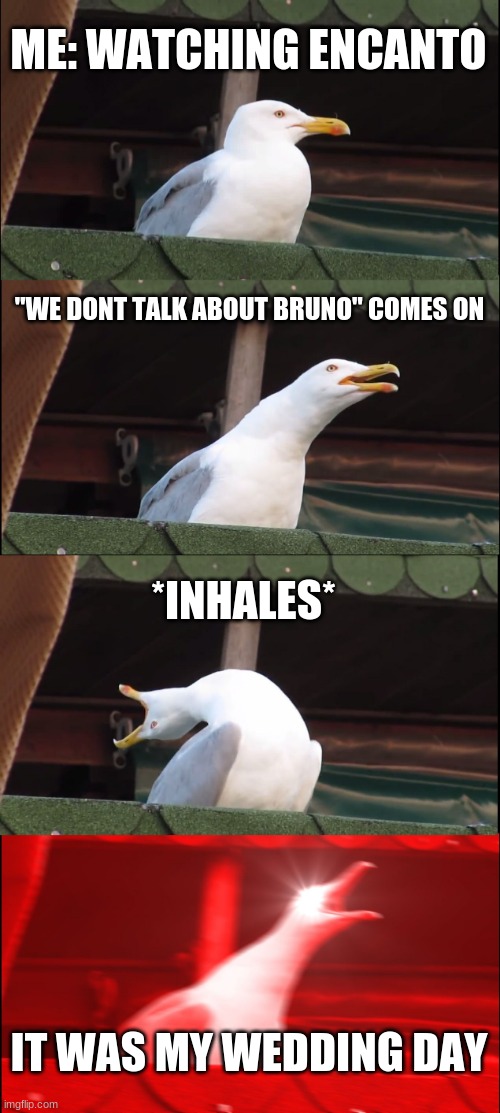 Inhaling Seagull Meme | ME: WATCHING ENCANTO; "WE DONT TALK ABOUT BRUNO" COMES ON; *INHALES*; IT WAS MY WEDDING DAY | image tagged in memes,inhaling seagull | made w/ Imgflip meme maker