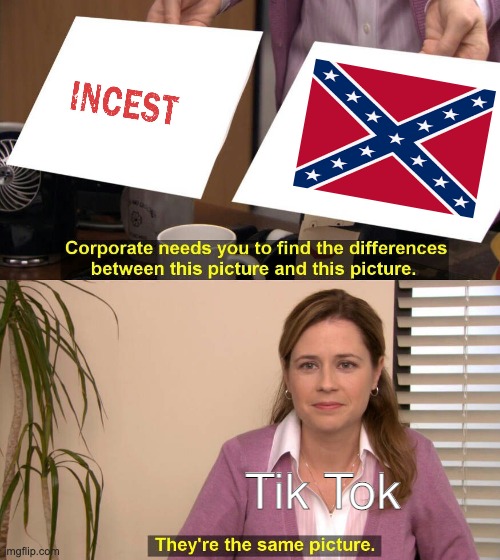 They are the same picture | Tik Tok | image tagged in they are the same picture | made w/ Imgflip meme maker