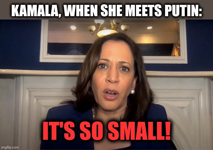 KAMALA, WHEN SHE MEETS PUTIN: IT'S SO SMALL! | made w/ Imgflip meme maker