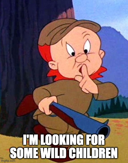 Elmer Fudd | I'M LOOKING FOR SOME WILD CHILDREN | image tagged in elmer fudd | made w/ Imgflip meme maker