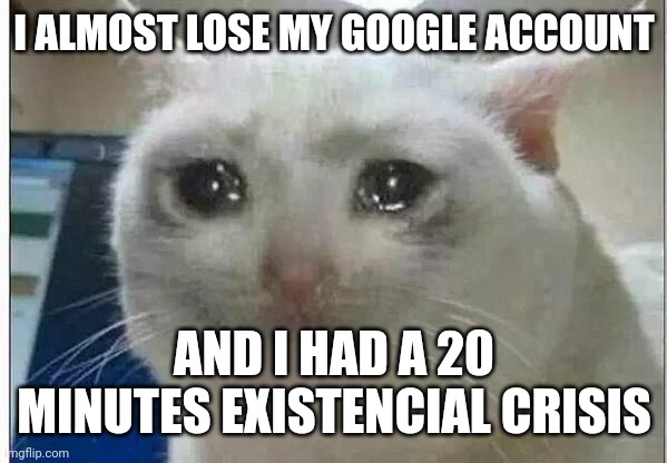 good thing i had it back, but say me gud things pls :( | I ALMOST LOSE MY GOOGLE ACCOUNT; AND I HAD A 20 MINUTES EXISTENCIAL CRISIS | image tagged in crying cat | made w/ Imgflip meme maker