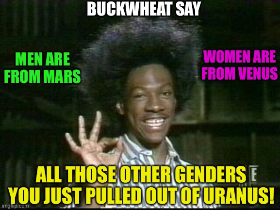 otay buckwheat | BUCKWHEAT SAY; WOMEN ARE FROM VENUS; MEN ARE FROM MARS; ALL THOSE OTHER GENDERS YOU JUST PULLED OUT OF URANUS! | image tagged in otay buckwheat | made w/ Imgflip meme maker