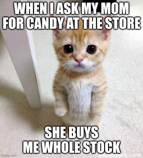 I WANT CANDY!! | WHEN I ASK MY MOM FOR CANDY AT THE STORE; SHE BUYS ME WHOLE STOCK | image tagged in memes,cute cat | made w/ Imgflip meme maker