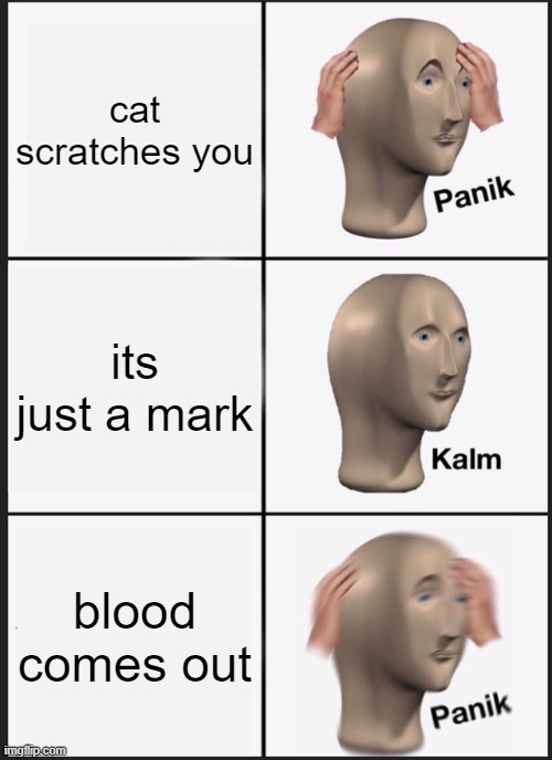 cat scratches you | cat scratches you; its just a mark; blood comes out | image tagged in memes,panik kalm panik | made w/ Imgflip meme maker