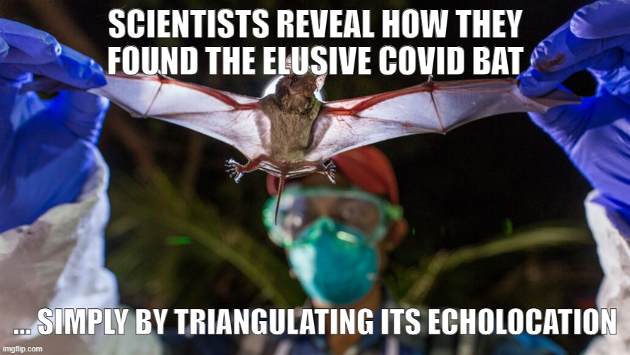 Scientists Reveal How They Found the Elusive Covid Bat |  SCIENTISTS REVEAL HOW THEY FOUND THE ELUSIVE COVID BAT; ... SIMPLY BY TRIANGULATING ITS ECHOLOCATION | image tagged in covid-19,science fiction,scientists,scientology | made w/ Imgflip meme maker