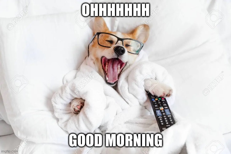 yawing with my pup | OHHHHHHH; GOOD MORNING | image tagged in ohhhhhhhhhhhh | made w/ Imgflip meme maker