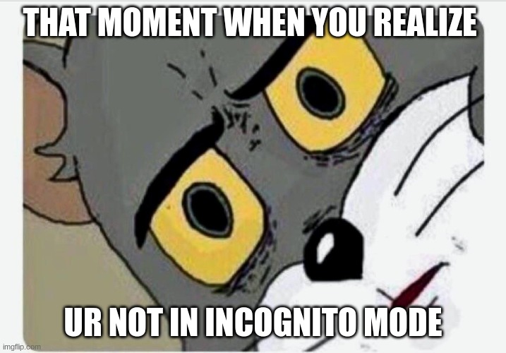 das not gud | THAT MOMENT WHEN YOU REALIZE; UR NOT IN INCOGNITO MODE | image tagged in disturbed tom | made w/ Imgflip meme maker