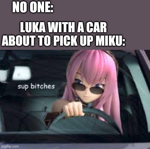 SHE WILL COMMIT VARIOUS ILLEGAL STUFF | NO ONE:; LUKA WITH A CAR ABOUT TO PICK UP MIKU: | image tagged in sup luka,illegal,wait this is beyond illegal,daily supplies | made w/ Imgflip meme maker
