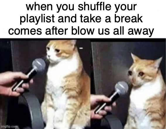 I hate it when that happens | when you shuffle your playlist and take a break comes after blow us all away | image tagged in crying cat interview horizontal | made w/ Imgflip meme maker