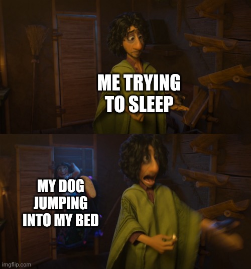 aaaaaaaaa | ME TRYING TO SLEEP; MY DOG JUMPING INTO MY BED | image tagged in encanto bruno mirabel | made w/ Imgflip meme maker