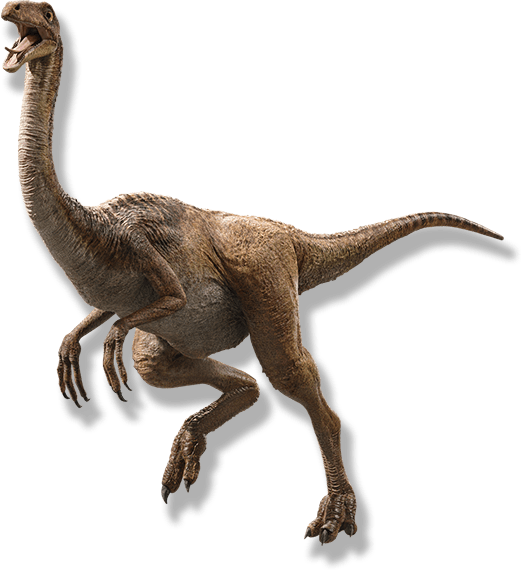 Gallimimus Blank Meme Template