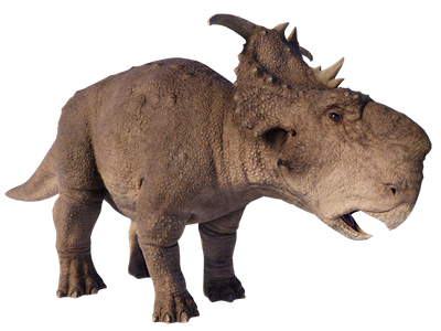 Pachyrhinosaurus (JWE Design) Blank Meme Template