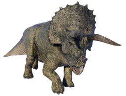 Triceratops Blank Meme Template