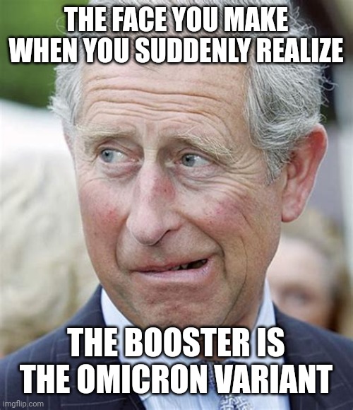PRINCE CHARLES FACE YOU MAKE | THE FACE YOU MAKE WHEN YOU SUDDENLY REALIZE; THE BOOSTER IS THE OMICRON VARIANT | image tagged in prince charles aghast face,prince charles,the face you make,omicron,covid-19,covid vaccine | made w/ Imgflip meme maker