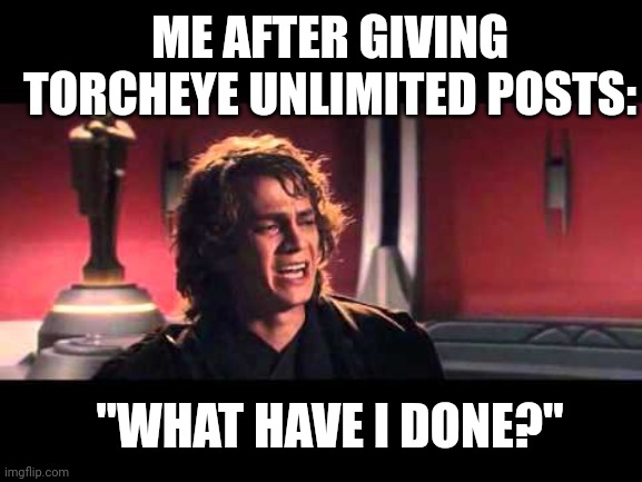 Anakin What have I done? | ME AFTER GIVING TORCHEYE UNLIMITED POSTS:; "WHAT HAVE I DONE?" | image tagged in anakin what have i done | made w/ Imgflip meme maker