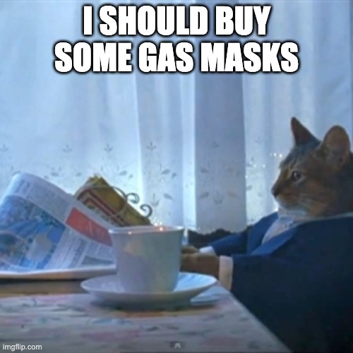 Cat reading the paper | I SHOULD BUY SOME GAS MASKS | image tagged in cat reading the paper | made w/ Imgflip meme maker