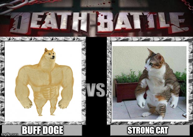 death battle | BUFF DOGE; STRONG CAT | image tagged in death battle | made w/ Imgflip meme maker
