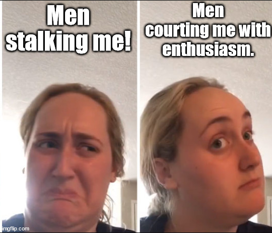 Perspective, and labeling | Men courting me with enthusiasm. Men stalking me! | image tagged in kombucha girl,women,logic | made w/ Imgflip meme maker