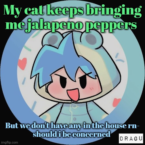 Frog. | My cat keeps bringing me jalapeno peppers; But we don't have any in the house rn-
should i be concerned | image tagged in frog | made w/ Imgflip meme maker