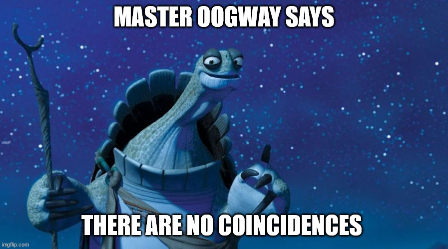 Master Oogway Says | MASTER OOGWAY SAYS; THERE ARE NO COINCIDENCES | image tagged in master oogway,kung fu panda | made w/ Imgflip meme maker