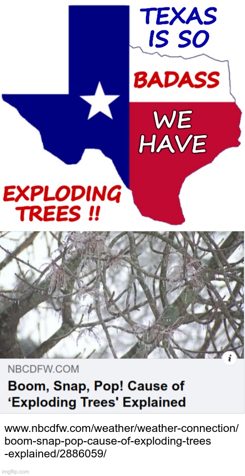 Yeah, Texas is BADASS! | TEXAS
IS SO; BADASS; WE
HAVE; EXPLODING
TREES !! www.nbcdfw.com/weather/weather-connection/
boom-snap-pop-cause-of-exploding-trees
-explained/2886059/ | image tagged in texas clipart,texas,weather,rick75230 | made w/ Imgflip meme maker