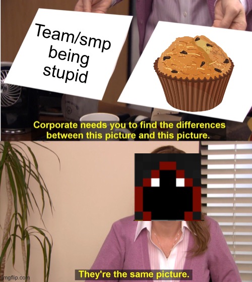 Badboyhalo when angry be like | Team/smp being stupid | image tagged in memes,they're the same picture,dream smp,muffin | made w/ Imgflip meme maker