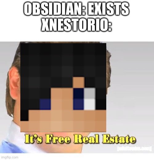 When he says: “ I’m the fastest obsidian miner” | OBSIDIAN: EXISTS
XNESTORIO: | image tagged in it's free real estate,minecraft | made w/ Imgflip meme maker