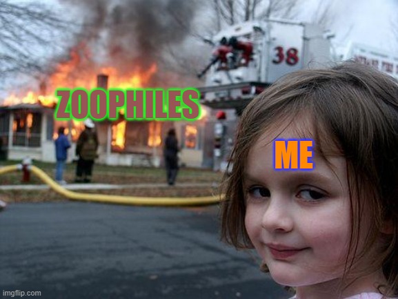 Zoophiles are disgusting ? | ZOOPHILES; ME | image tagged in memes,disaster girl | made w/ Imgflip meme maker