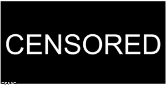 censor bar | image tagged in censor bar | made w/ Imgflip meme maker
