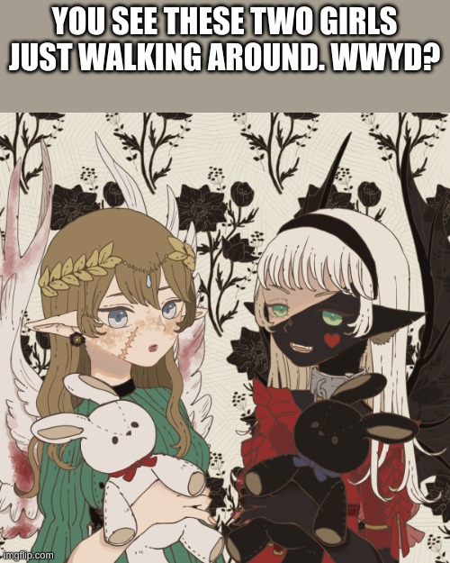 Finally not a romance lmao | YOU SEE THESE TWO GIRLS JUST WALKING AROUND. WWYD? | image tagged in roleplay | made w/ Imgflip meme maker