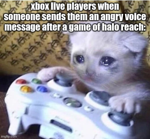 Xbox live players when someone sends them an angry voice message after a game of halo reach | xbox live players when someone sends them an angry voice message after a game of halo reach: | image tagged in sad gaming cat | made w/ Imgflip meme maker
