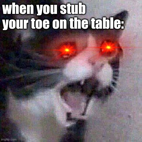 Screaming Cat meme | when you stub your toe on the table: | image tagged in screaming cat meme | made w/ Imgflip meme maker