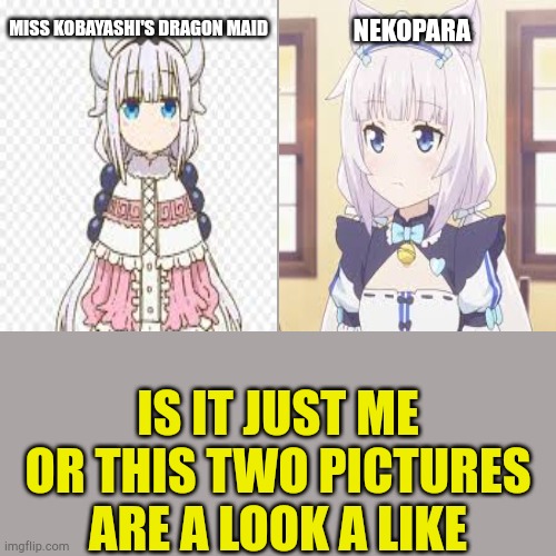Is it the same Character or not... | MISS KOBAYASHI'S DRAGON MAID; NEKOPARA; IS IT JUST ME OR THIS TWO PICTURES ARE A LOOK A LIKE | image tagged in memes,anime,confused | made w/ Imgflip meme maker