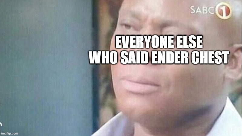 am i joke to you | EVERYONE ELSE WHO SAID ENDER CHEST | image tagged in am i joke to you | made w/ Imgflip meme maker