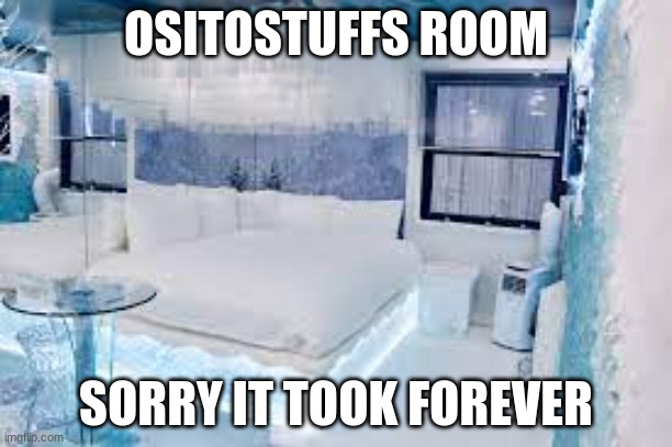 OSITOSTUFFS ROOM; SORRY IT TOOK FOREVER | made w/ Imgflip meme maker
