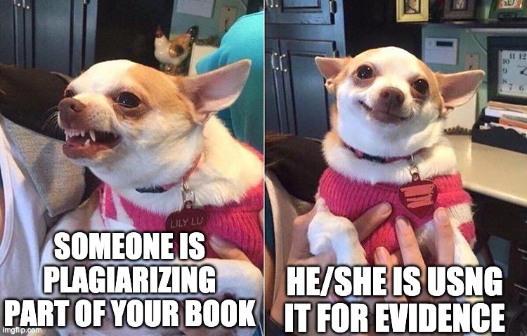 I'll allow it | SOMEONE IS PLAGIARIZING PART OF YOUR BOOK; HE/SHE IS USNG IT FOR EVIDENCE | image tagged in angry dog meme,books | made w/ Imgflip meme maker
