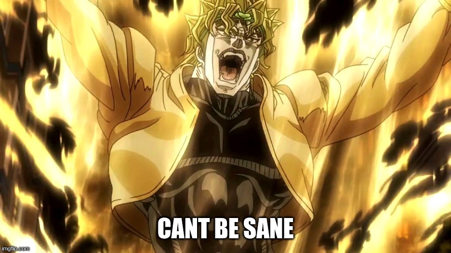 Za Warudo | CANT BE SANE | image tagged in za warudo | made w/ Imgflip meme maker