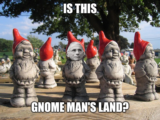 Fauci Garden Gnome | IS THIS; GNOME MAN'S LAND? | image tagged in fauci garden gnome | made w/ Imgflip meme maker