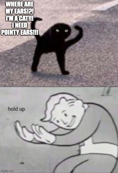 WHERE ARE MY EARS!?! I'M A CAT!!! I NEED POINTY EARS!!! | image tagged in fallout hold up | made w/ Imgflip meme maker