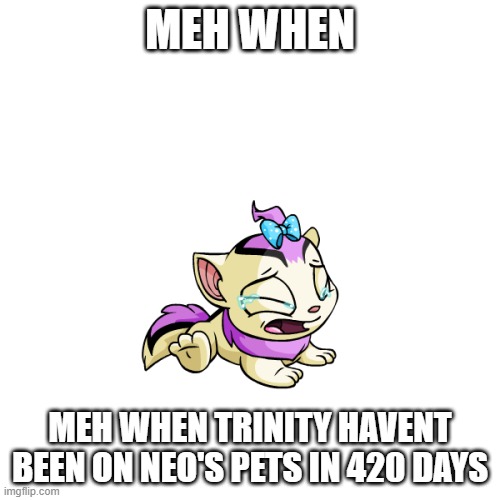 Neo's pets | MEH WHEN; MEH WHEN TRINITY HAVENT BEEN ON NEO'S PETS IN 420 DAYS | image tagged in neopets,xweetok,baby,matrix | made w/ Imgflip meme maker
