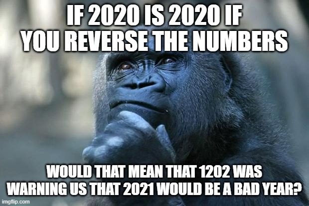 Fruit of the thought and wisdom | IF 2020 IS 2020 IF YOU REVERSE THE NUMBERS; WOULD THAT MEAN THAT 1202 WAS WARNING US THAT 2021 WOULD BE A BAD YEAR? | image tagged in deep thoughts | made w/ Imgflip meme maker