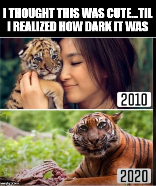 Sometimes, They Grow Up... | I THOUGHT THIS WAS CUTE...TIL I REALIZED HOW DARK IT WAS | image tagged in tiger,dark humor | made w/ Imgflip meme maker