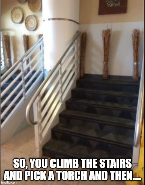 Why? | SO, YOU CLIMB THE STAIRS AND PICK A TORCH AND THEN.... | image tagged in you had one job | made w/ Imgflip meme maker