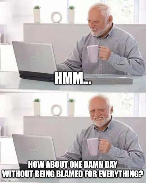 Hide the Pain Harold Meme | HMM... HOW ABOUT ONE DAMN DAY WITHOUT BEING BLAMED FOR EVERYTHING? | image tagged in memes,hide the pain harold | made w/ Imgflip meme maker
