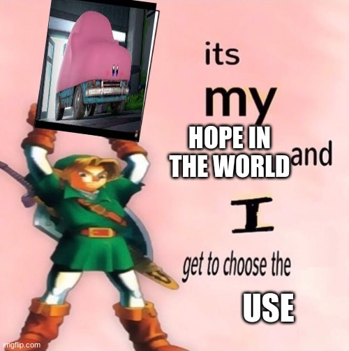 true | HOPE IN THE WORLD; USE | image tagged in it's my and i get to choose the,kirby,funny,true,hope,help me | made w/ Imgflip meme maker