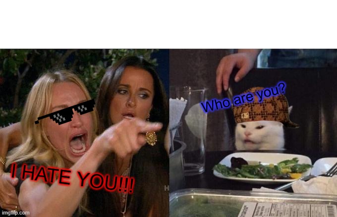 Woman Yelling At Cat | Who are you? I HATE YOU!!! | image tagged in memes,woman yelling at cat | made w/ Imgflip meme maker