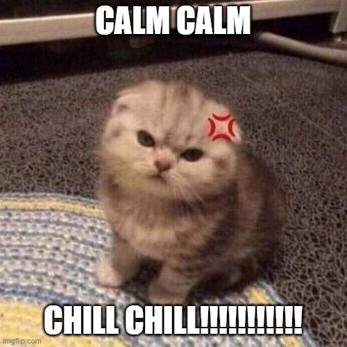 cat annoyed | CALM CALM CHILL CHILL!!!!!!!!!!! | image tagged in cat annoyed | made w/ Imgflip meme maker