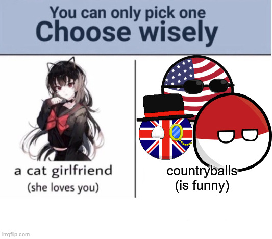 Choose wisely |  countryballs
(is funny) | image tagged in choose wisely | made w/ Imgflip meme maker