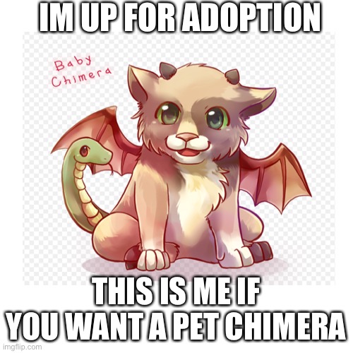 Me | IM UP FOR ADOPTION; THIS IS ME IF YOU WANT A PET CHIMERA | made w/ Imgflip meme maker